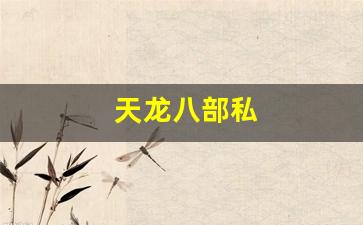 天龙八部私(天龙八部) (2)