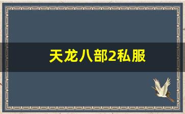 天龙八部2私服 (10)