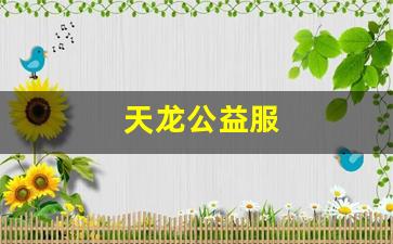天龙公益服(天龙公益服发布2024年最新
