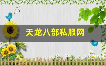 天龙八部私服网 (6)